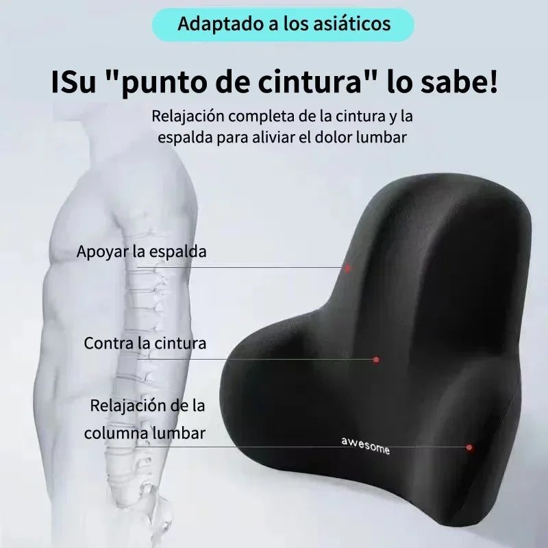 Memory Foam Lumbar Back Cushion