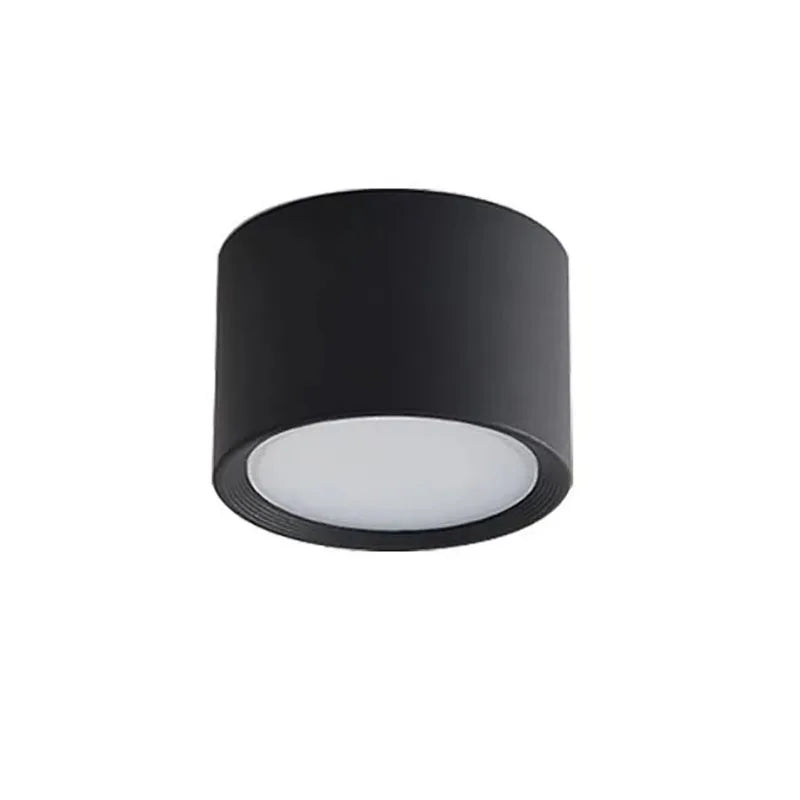 Nordic LED downlight ceiling light