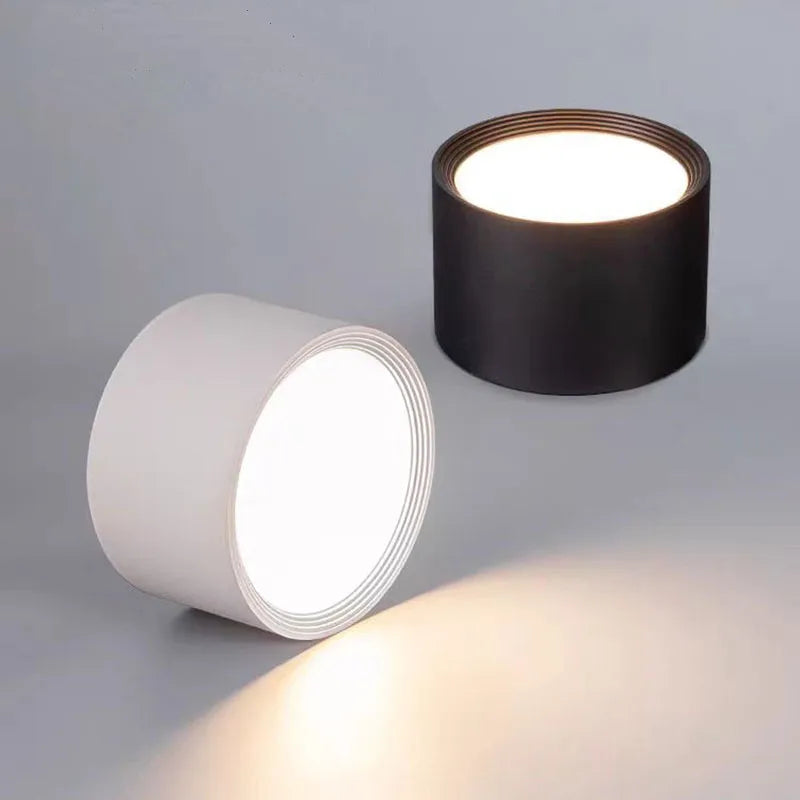 Nordic LED downlight ceiling light