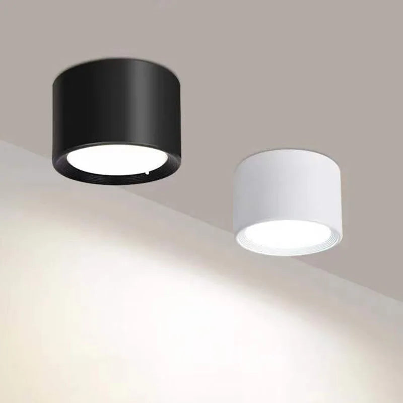 Nordic LED downlight ceiling light