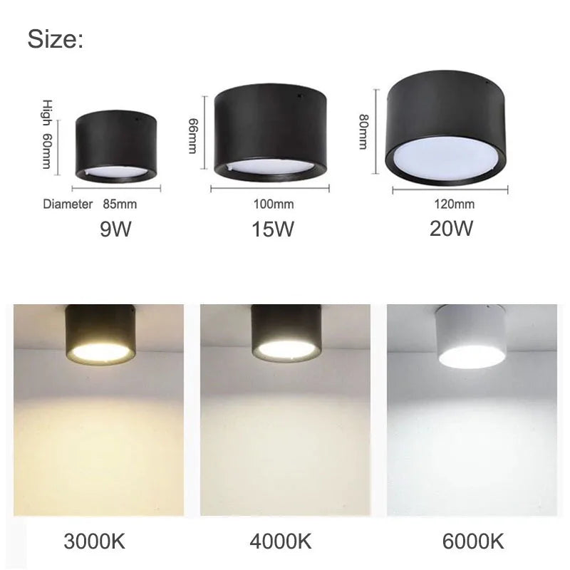 Nordic LED downlight ceiling light