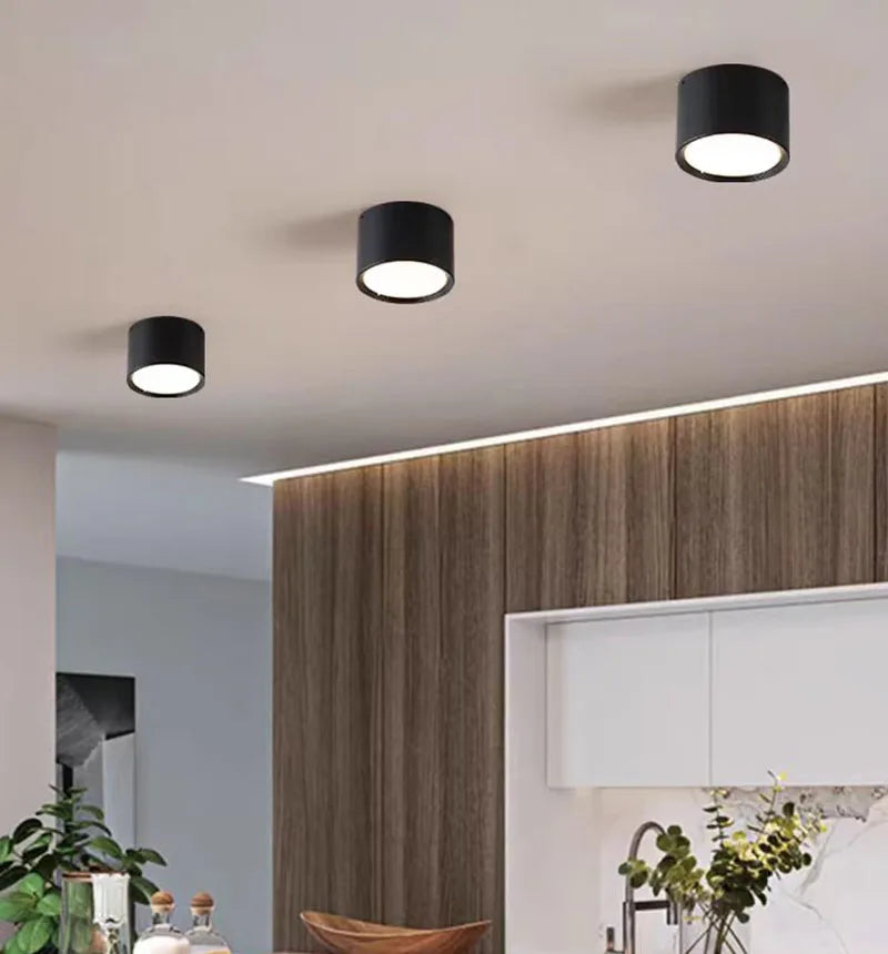 Nordic LED downlight ceiling light